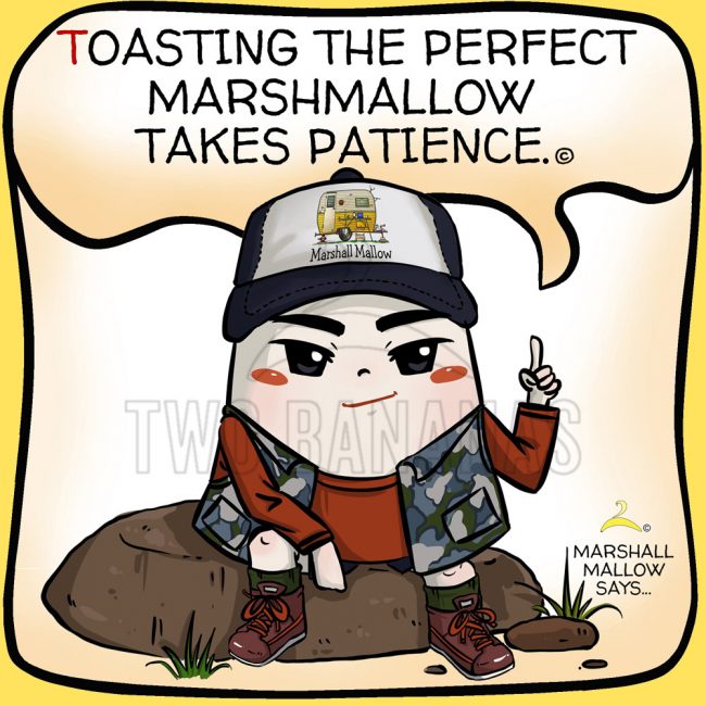 –Image #056– Camper Humor Roasted Marshmallow Quote Cute Camper Drawing